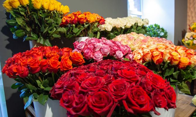 В Тульской области выявили опасного вредителя в розах