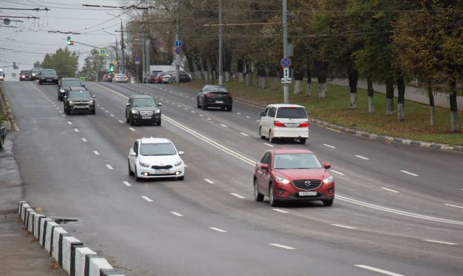 Туляка лишили прав после ДТП с лосем