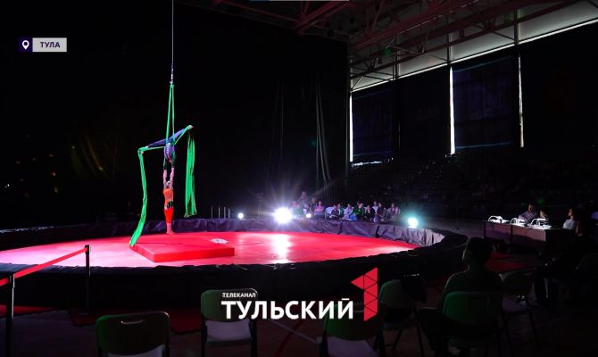 В Туле кота Базилио и лису Алису запустили под купол цирка