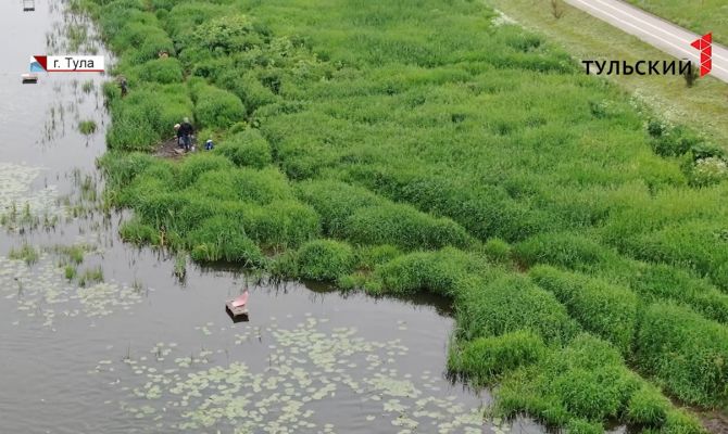 Каким рекам в Тульской области планируют дать вторую жизнь