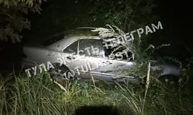 В Щекинском районе машина вылетела с дороги после столкновения с лосем