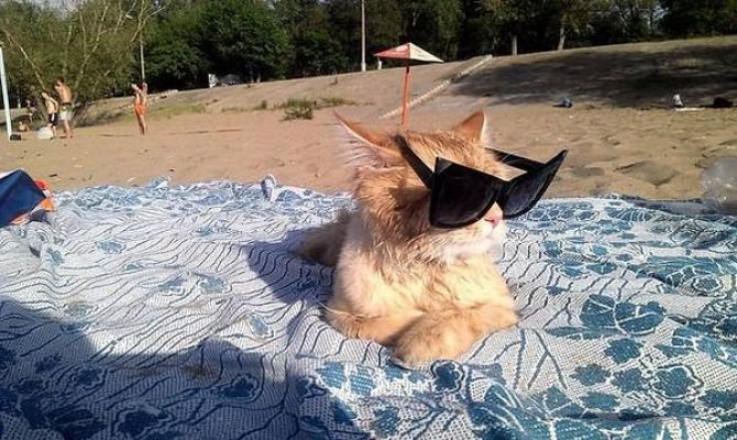 Какая погода будет в последний месяц лета