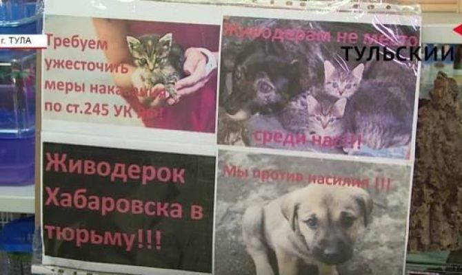 Туляки собирают подписи за ужесточение наказания за насилие над животными. РЕПОРТАЖ