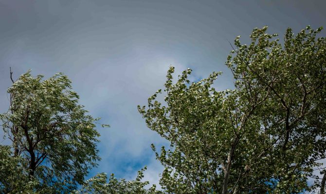 17 августа туляков ждут сильный ветер и грозы
