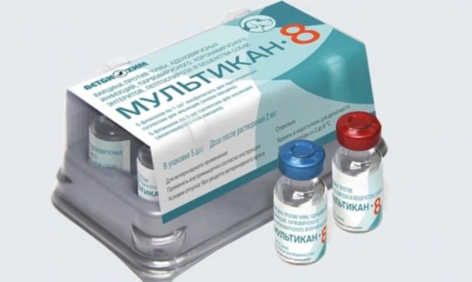 На производителя скандальной вакцины "Мультикан-8" завели уголовное дело