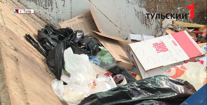 «Нашествие» крыс: тулякам стоит опасаться серых грызунов 