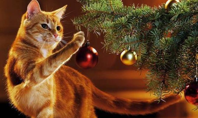 Новогодние каникулы в селе Монастырщино. Афиша