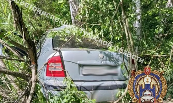 В Ясногорском районе водитель Skoda врезался в дерево и попал в больницу