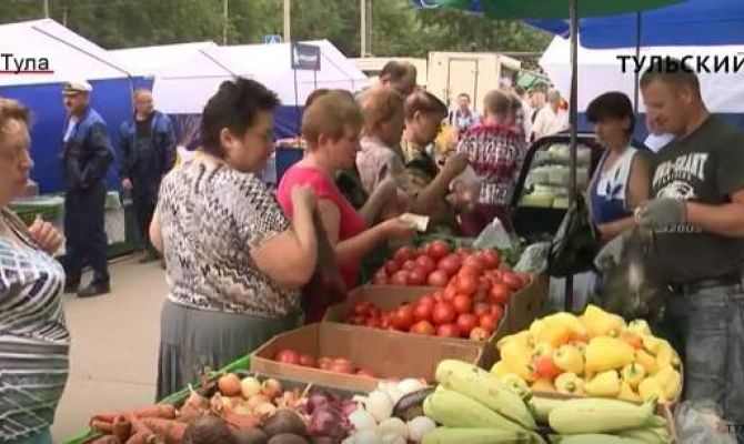 На месте Южного рынка в Туле появится фермерская ярмарка. РЕПОРТАЖ