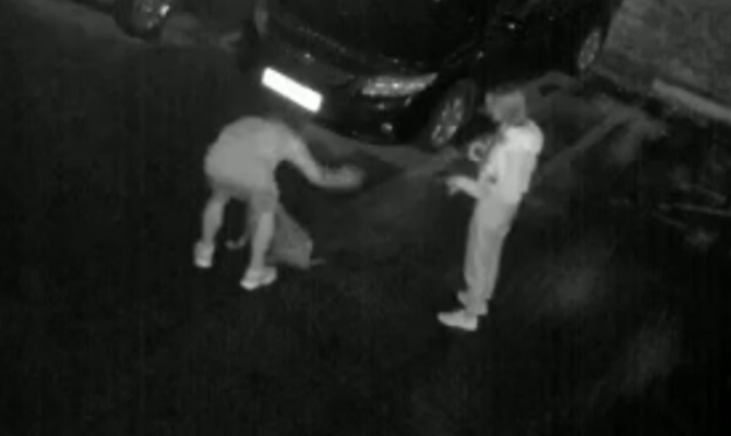 Под Тулой мужчина избил собаку на поводке