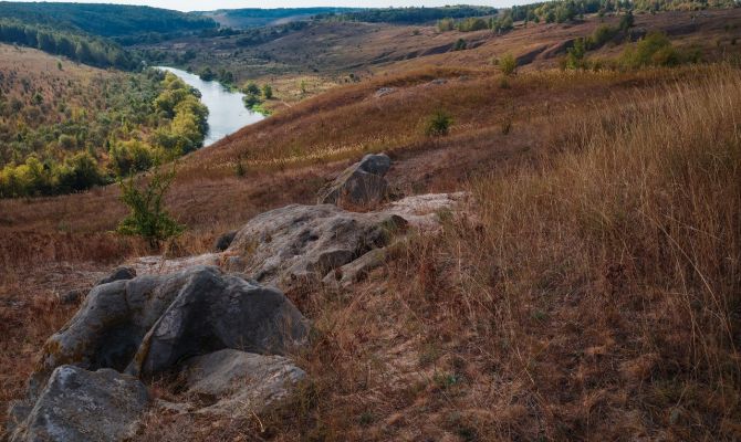 В новом национальном парке "Тульские засеки" появится кемпинг и гостиница