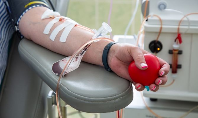Донорство в Тульской области: кто может сдать кровь и как за это поощряют