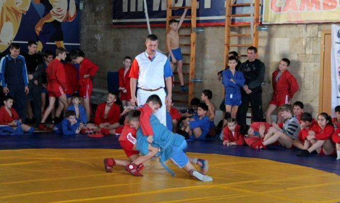 День самбо проведут в Туле