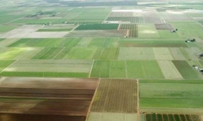 Как тулякам бесплатно получить гектар земли