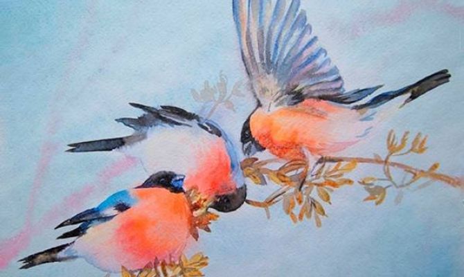 Тулякам расскажут о птичьем "населении" нашей области