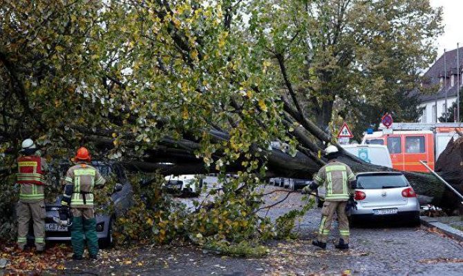 Ростуризм призывает россиян соблюдать осторожность в Германии 