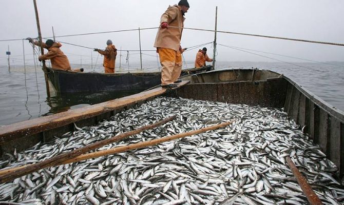 Опасные профессии России: рыбаки и строители — в топе