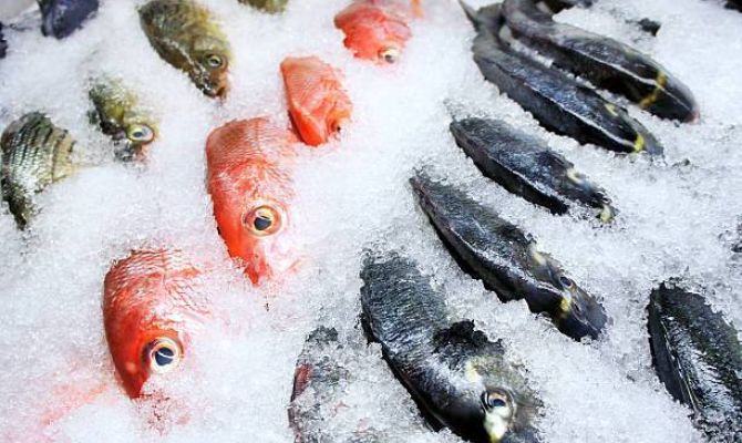 37  тонн некачественной рыбы снято с продажи в России