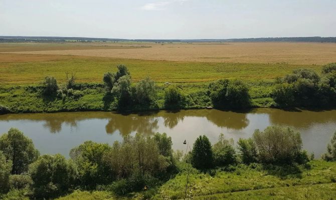 Уникальный Лихвинский разрез под Чекалиным стал домом для редких видов животных