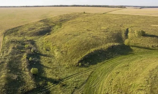В Кимовском районе охраняют уникальную балку «Березовая»