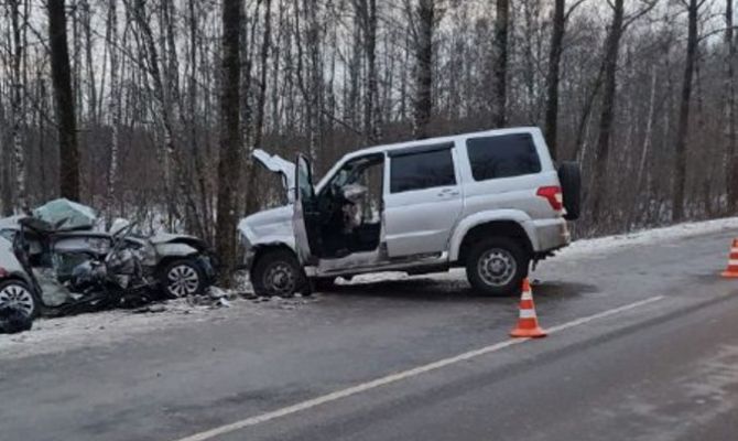 В ДТП под Тулой погибли два человека: Следственный комитет возбудил уголовное дело
