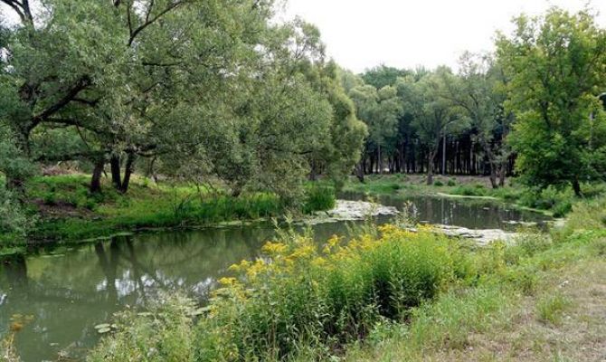 Туляков приглашают на лекцию о Баташевском саде