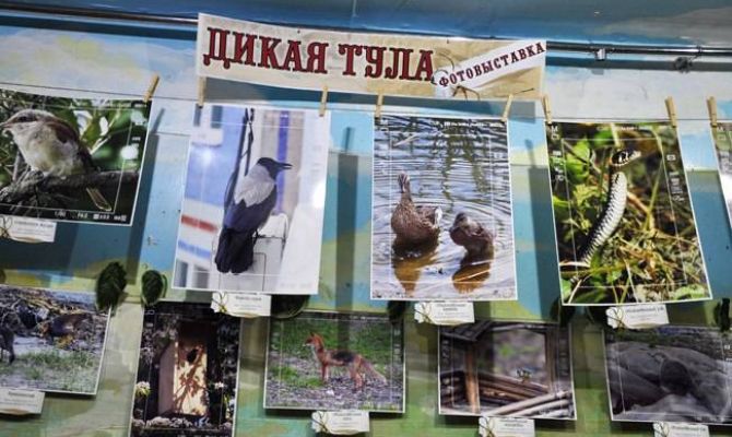 В тульском экзотариуме открылась фотовыставка «Дикая Тула»