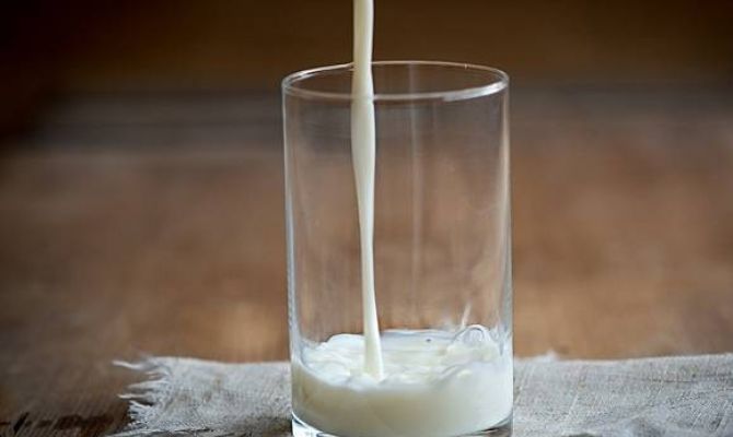 Российским школьникам не будут выдавать бесплатное молоко