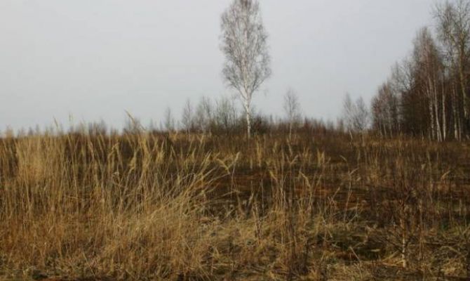 В России поднимут налог на заброшенные сельхозучастки