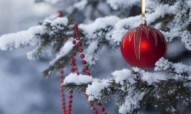 Новогодние каникулы в России не отменят