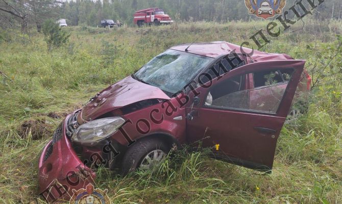 В Тульской области Renault Sandero опрокинулся в кювет