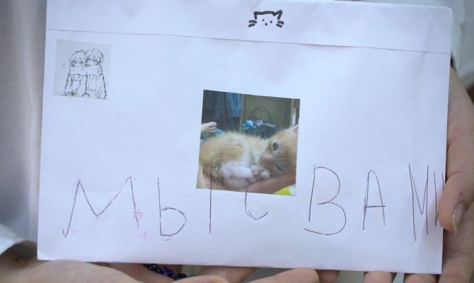 Тульские школьницы украсили письма мобилизованным фотографиями котят