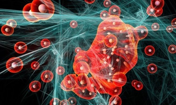 Ученые назвали способ омолодить организм за несколько лет