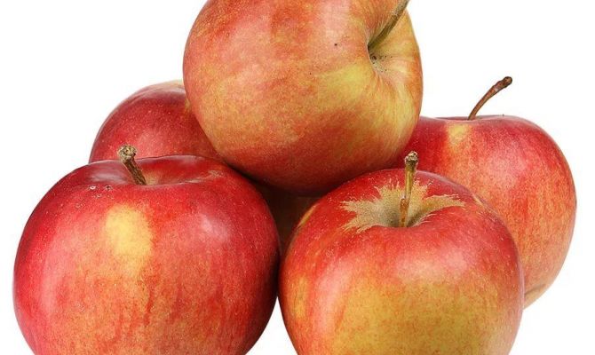 В России нашли зараженные китайские фрукты