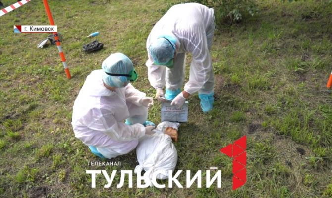 В Веневском районе объявили карантин из-за вспышки лейкоза у животных