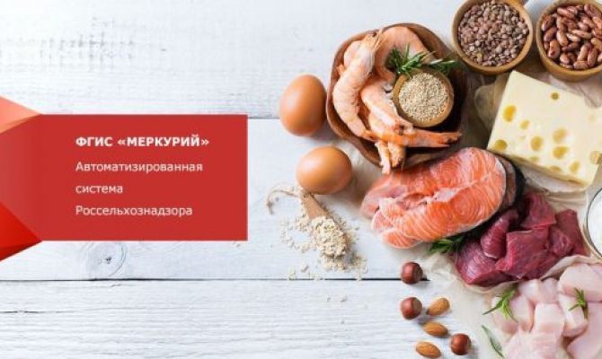 В Тульской области обнаружили нарушения при работе с ветеринарными документами