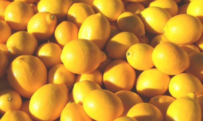 Турецкие цитрусовые сбили цену на лимоны и апельсины в российских магазинах