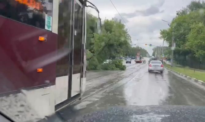 В Туле встали трамваи из-за упавшего дерева