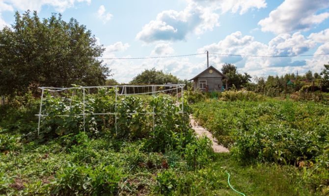 Кадастровая палата дала разъяснения по выпискам из похозяйственных книг 