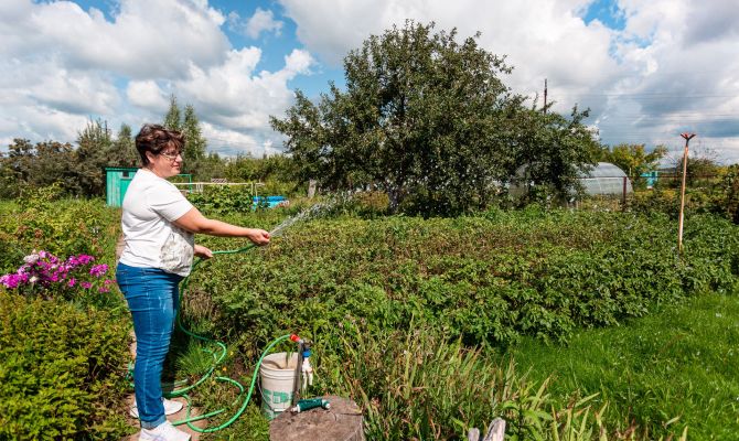 Туляки стали чаще покупать садовую технику перед началом дачного сезона