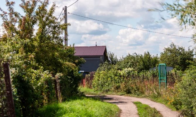 Туляк вырастил на заброшенной даче 31 килограмм конопли