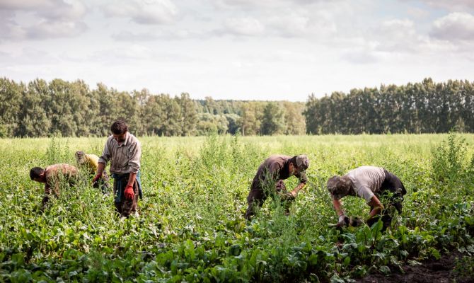 В Госдуме не поддержали идею Сбербанка о массовом завозе мигрантов из Индии