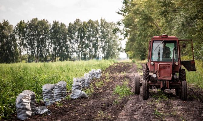 Опыт сбыта фермерской продукции Тульской области распространят по всей России