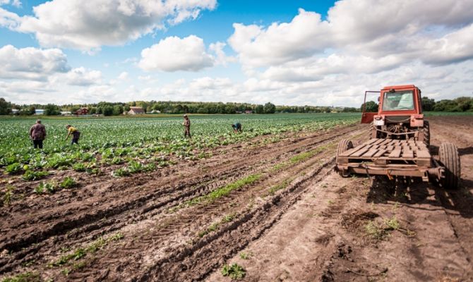 Названо самое частое нарушение на сельскохозяйственных землях в Тульской области