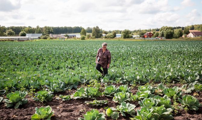 Тульская область вошла в ТОП-10 регионов России по переезду населения в сельскую местность