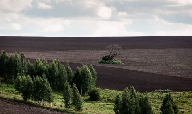 За заросшие сорняком 187 гектаров туляк заплатит штраф