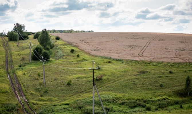 В Тульской области 2,7 гектара сельхозземли превратят в лес