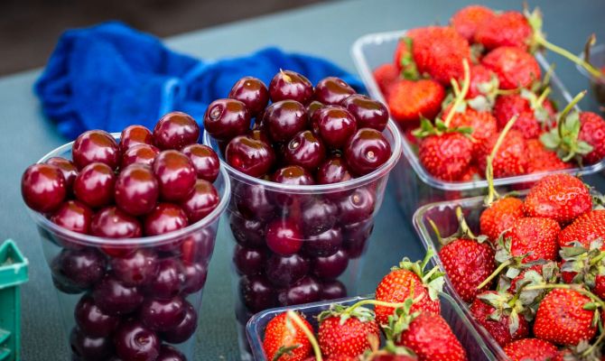 Стало известно, сколько ягод собрали в Тульской области за год