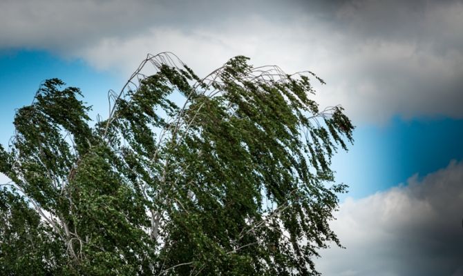 Климатологи объяснили причину июльских холодов