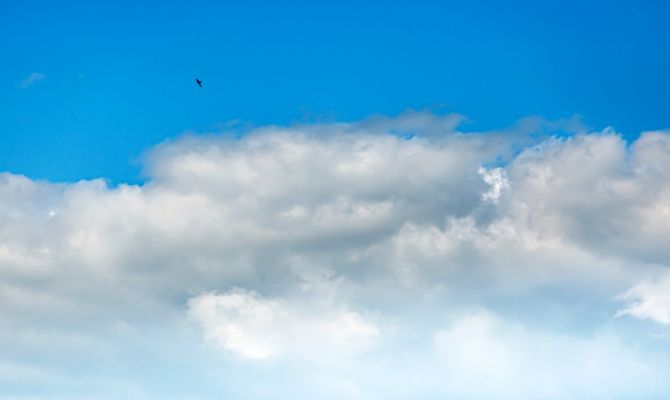 Синоптики рассказали об аномалиях и о продолжительности августовской жары